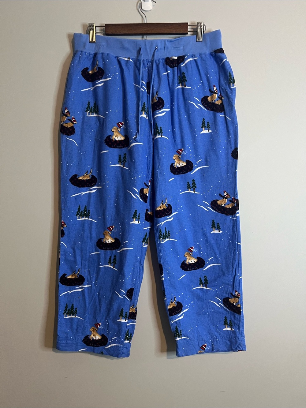 LL Bean Flannel Pajama Pants Women Size Large Petite